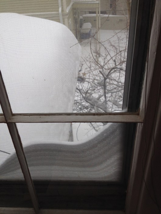 The view out my second-floor window.