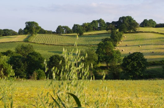 Lovely countryside on my cousin's farm.